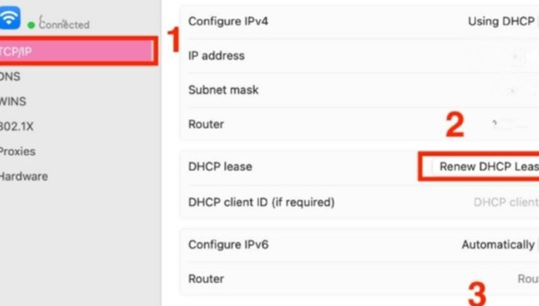 Kiểm tra địa chỉ IP và DNS